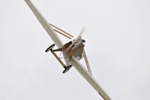 Air Show Caslav - Czechy