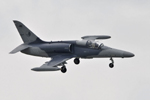 Air Show Caslav - Czechy