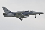 Air Show Caslav - Czechy