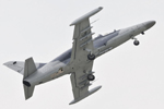 Air Show Caslav - Czechy