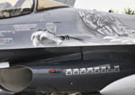 Air Show Caslav - Czechy