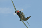 Czech International Air Fest 2011