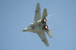 Czech International Air Fest 2011