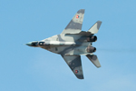 Czech International Air Fest 2011
