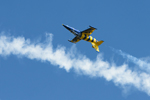 Czech International Air Fest 2011
