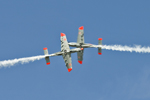 Czech International Air Fest 2011