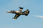 Czech International Air Fest 2011