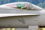 Air Power Zeltweg - Austria