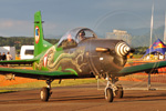 Air Power Zeltweg - Austria