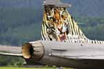 Air Power Zeltweg - Austria