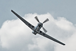 Mustang P-51