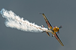 Extra 300/SR
