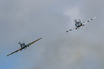 Iacarii Acrobati Aerobatic Yakers