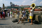 Praga