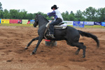 Rodeo