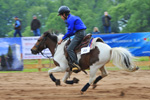 Rodeo