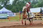 Rodeo
