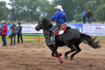 Rodeo