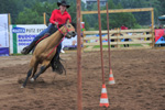 Rodeo