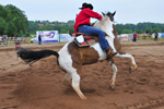 Rodeo