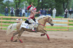 Rodeo