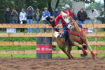 Rodeo
