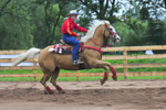 Rodeo