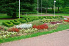 Park w Dusznikach Zrj