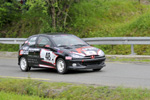 GSMP Sienna 2009